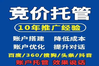 谷歌SEM广告策略：某电商平台的成功逆袭案例
